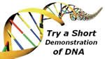 Try a Short Demonstration of DNA